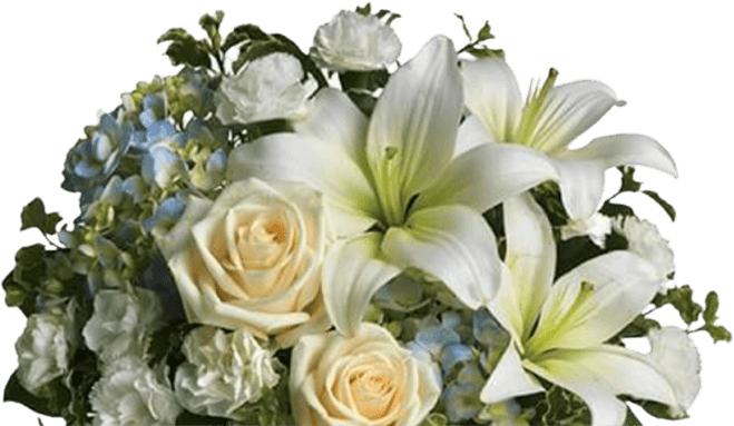 米7” Clarence Williams  Queen C1118 Chancellor /00080 Clarence Williams Obituary (1934 - 2025) - Austin, Texas